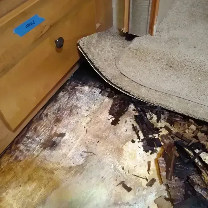 Wood Floor Water Damage in Murfreesboro, AR